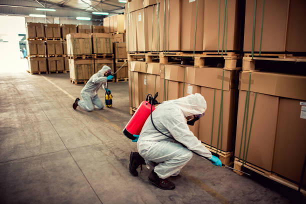 Best Termite Control Services  in Lake Mathews, CA
