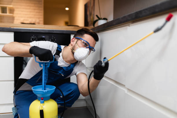 Trusted Lake Mathews, CA Pest Control Experts