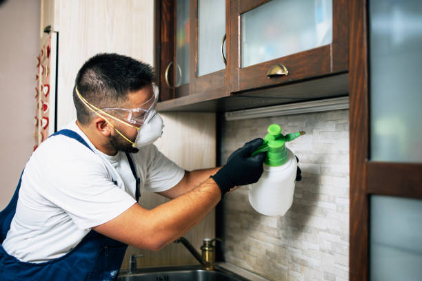 Wildlife Control Services in Lake Mathews, CA
