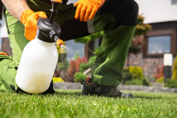 Best Exterminator Services  in Lake Mathews, CA