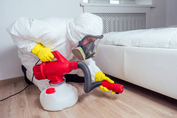Best Mosquito Control Services  in Lake Mathews, CA