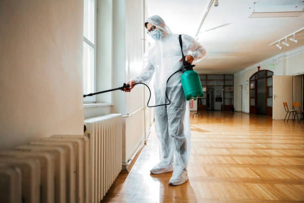 Best Pest Prevention Services  in Lake Mathews, CA