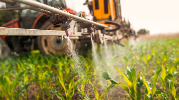 Best Pest Control Cost  in Lake Mathews, CA